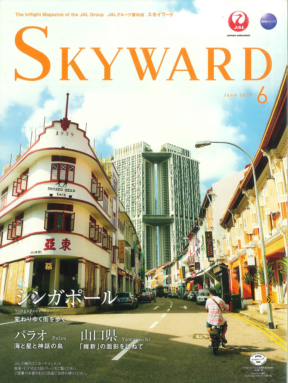 skyward1-(1).jpg